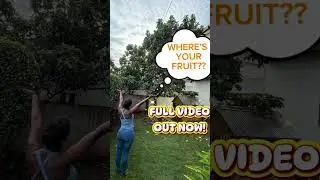 Leaves are great but as a fruit tree why aren't you bearing fruit? Watch the full video on my page!