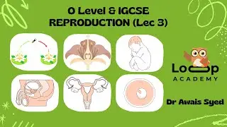 O Level IGCSE Biology - Reproduction (Lec 3)