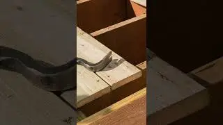 Can You Build A Deck With Untreated Wood? #shortvideo