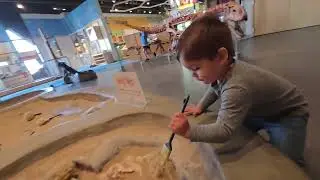 Mesuem at Prairiefire | Natural History Meusum with Dinosaurs Overland Park, Kansas | Kansas City 