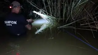 CATFISH _ LINE HOOK FISHING #fishing #hookfishing 