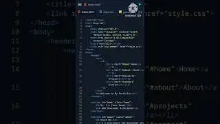 I Built A Portfolio Website Using Only HTML & CSS