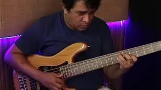 Ed bass Fender precision deluxe