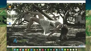 Anarchy Linux 1.0.0 - Live Review