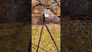 Field recording sony m10+Clippy em272 park