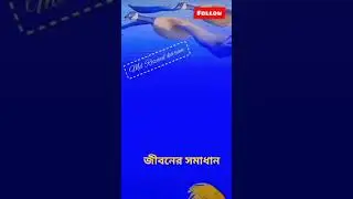 zif ci #viralvideo #shortsvideo #medicine #shortvideo