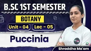 B.Sc 1st Semester Botany Unit-4th Puccinia lecture-05 || B.Sc Botany 1st year Important Questions