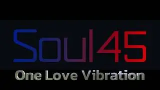 Soul45 - One Love Vibration ( Reggae Mix )