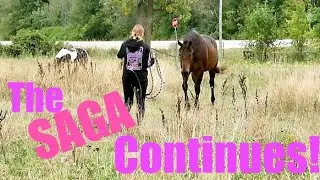 The Chino And His Mares Saga Continues...