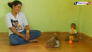 Tiny Olly With Monkey Luna Playing Toys Together Very Happy