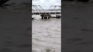 fishing in Hooghly river,#fishing,#hoogly #treanding🐟🚢#shorts