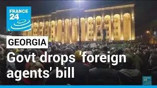 Georgia's parliament drops 'foreign agents' bill after mass protests &bull; FRANCE 24 English