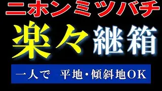 ニホンミツバチ 一人で楽に継箱 Japanese beekeeping