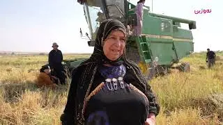 ژنانی گەرمیان هاوشانی پیاوان مەرەزە دەکەن