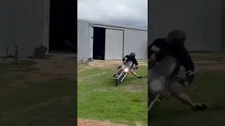 Yamaha Fat Boy Shredding