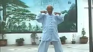 Wudang DaHong Quan, Eagle Claw Eight Postures