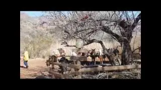 Grand Canyon Mule Ride - Day One