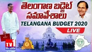 Live: Telangana Budget 2020 Live | Telangana Assembly Live | Day-6 |CM KCR | Harish Rao |TV1  Teligu