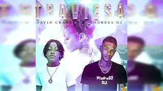 David Granado   Traviesa ✘ AndressDj    Audio Oficial  TRAP
