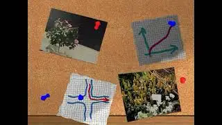 Floralien 2000