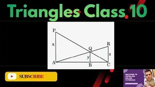 Triangles | Class 10 | PYQ 2025 | Chapter 6 | HOTS Question 