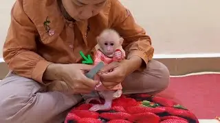 Pavpav Sculpture Stand For Mom Cleaning His Nail For Hygiene