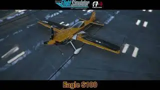Microsoft Flight Simulator - Eagle S100