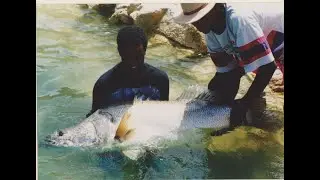 Lake Nasser 1995