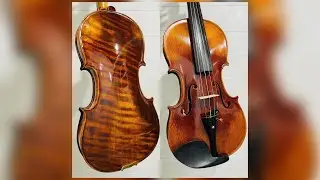 Violino 4/4 Eagle VK-544 Belíssimo Fundo Inteiro Madeira bem Rajada Lindo Excelente Som