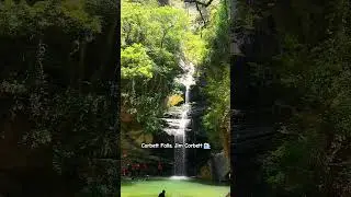 Corbett Falls 🌊 #jimcorbett #corbettfalls #Corbett #waterfall #placestovisit #adventure #travel