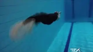 Apnea Endurance. Record mondiale del nuotatore adranita Angelo Sciacca