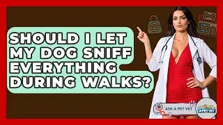 Should I Let My Dog Sniff Everything During Walks? - Ask A Pet Vet