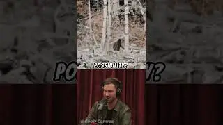 Is Bigfoot Real? | Joe Rogan Experience
