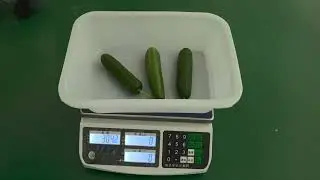 AB12 belt combination weigher fruits vegetable cucumber salad packing machine