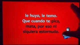 Cualquier canci&oacute;n o v&iacute;deo en karaoke Virtual DJ pro 2026 + lyrics configuration de la actualizaci&oacute;n 