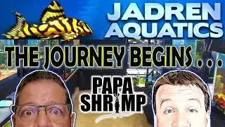 JADREN AQUATICS AND PAPA SHRIMP - OPENING A FISH STORE