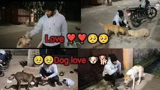 बेजुबान जानवरों की सेवा करते हुए 🥹🙏 Full vlog 🐶 #dogfeeding #dogvlog #helpinghands #vlog #dog 
