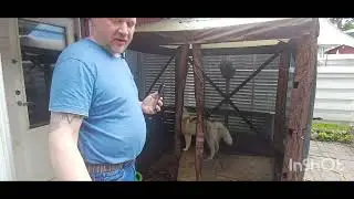 Vevor screen tent first set up and quick review