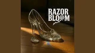 Glass Slipper