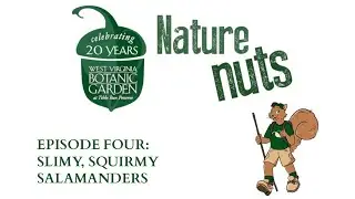Nature Nuts Episode 4: Slimy, Squirmy Salamanders