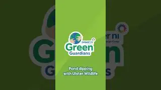 Pond dipping with Ulster Wildlife | Green Guardians