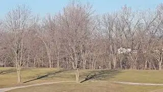 Peaceful Landscape with Calm Music 🍃 Stress Relief & Relaxation