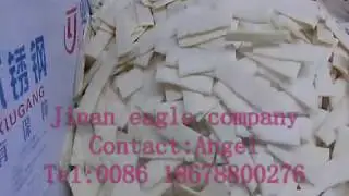 Extruded flat bread line/Extruder machine/twin screw extruder