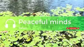 Serenity in Motion: Peaceful Music and Calm Visuals
