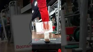 Лучший способ начать восстанавливать СУХОЖИЛИЯ!