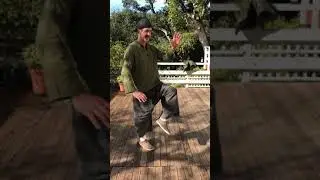 Origins of tai chi forms in Hsingi animals