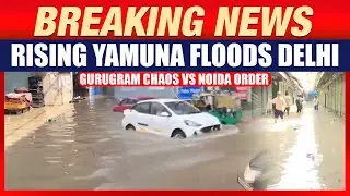 Yamuna Floods Delhi & NCR Chaos | Gurgaon Struggles, Noida Manages Rains Efficiently | Delhi Rains