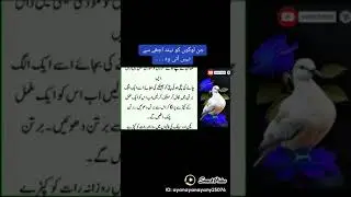 Desi elaaj