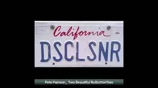 Pete Hansen _Two Beautiful Butterflies