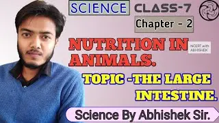 Large intestine|NCERT-SCIENCE|CLASS-7|Chapter-2 Nutrition in Animals
